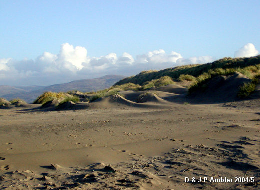 Ynyslas sand dunes 0