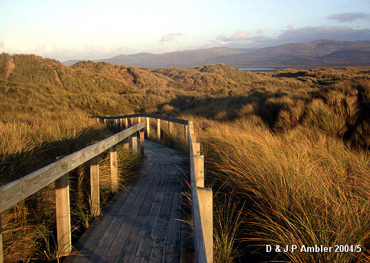 Ynyslas sand dunes walkway 0
