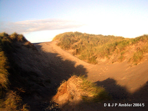 Ynyslas sand dunes 1