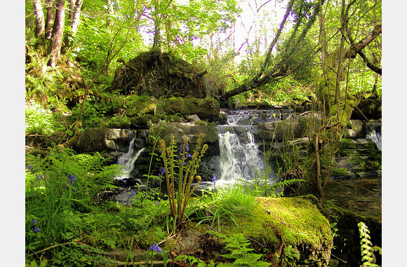 Cwmtydu waterfalls 2