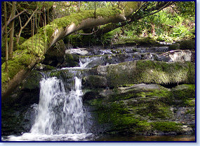 Cwmtydu waterfalls 3