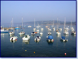 sunny harbour 7