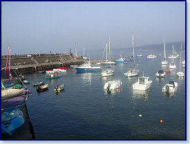 sunny harbour 6