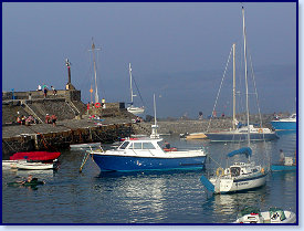 sunny harbour 5