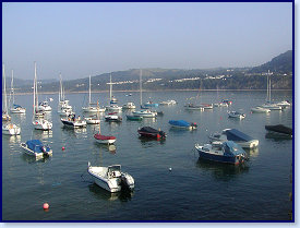 sunny harbour 8
