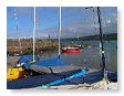 harbour in spring03   NQ17