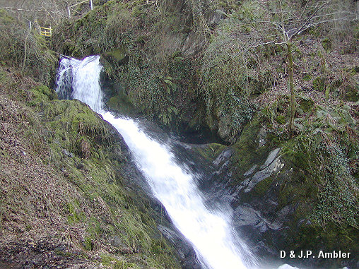Dolgoch Falls Talyllyn ADY12