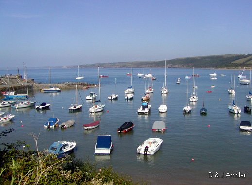 sunny harbour 3