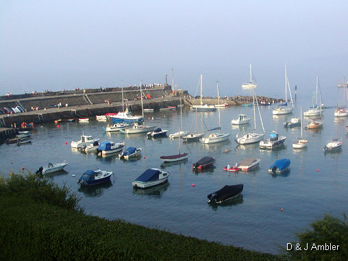 sunny harbour 9