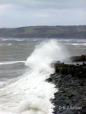 New quay oct storm 7
