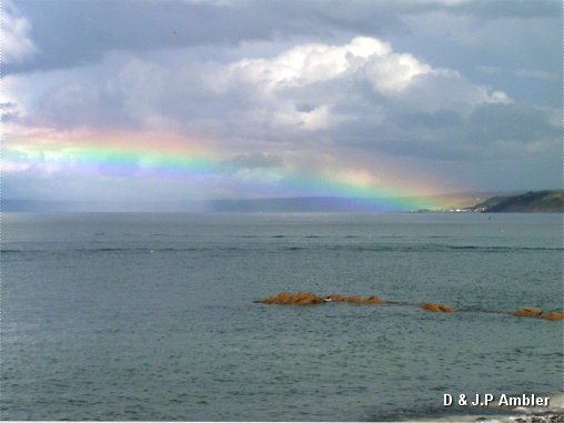 rainbow 08/04   NQ42