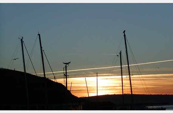 masts at sunset