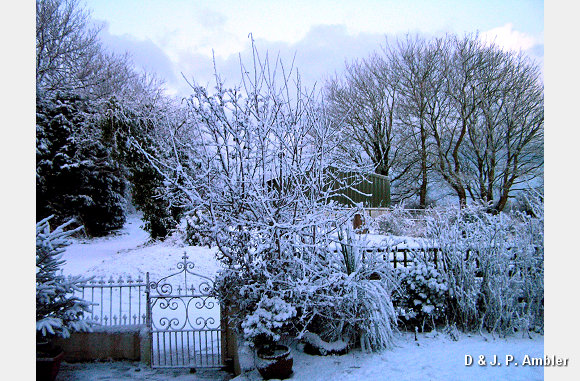 Early morning snow 001